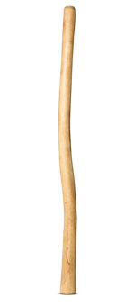 Natural Finish Didgeridoo (TW829)